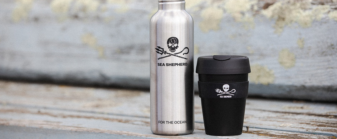 Single Use Alternatives