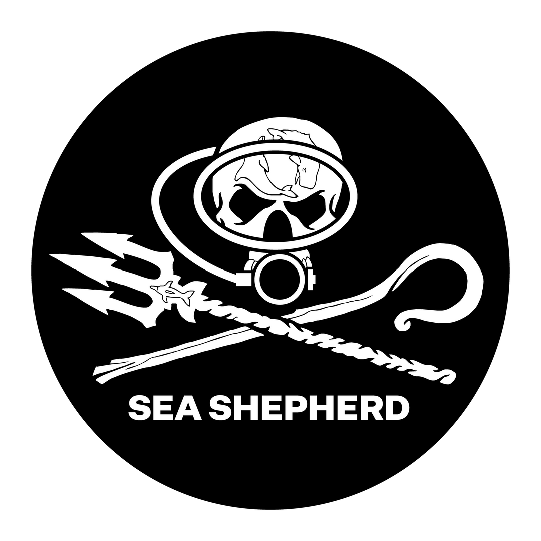 Sea Shepherd Dive Patch