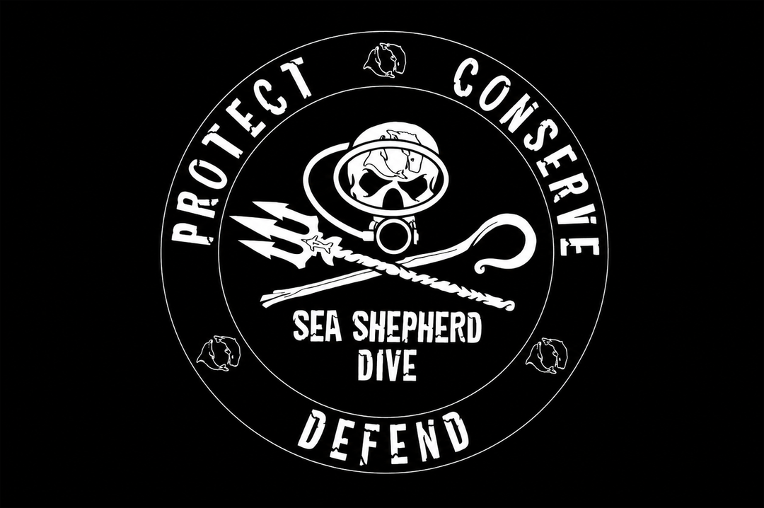 Dive Sticker