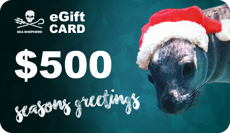 Christmas eGift Cards