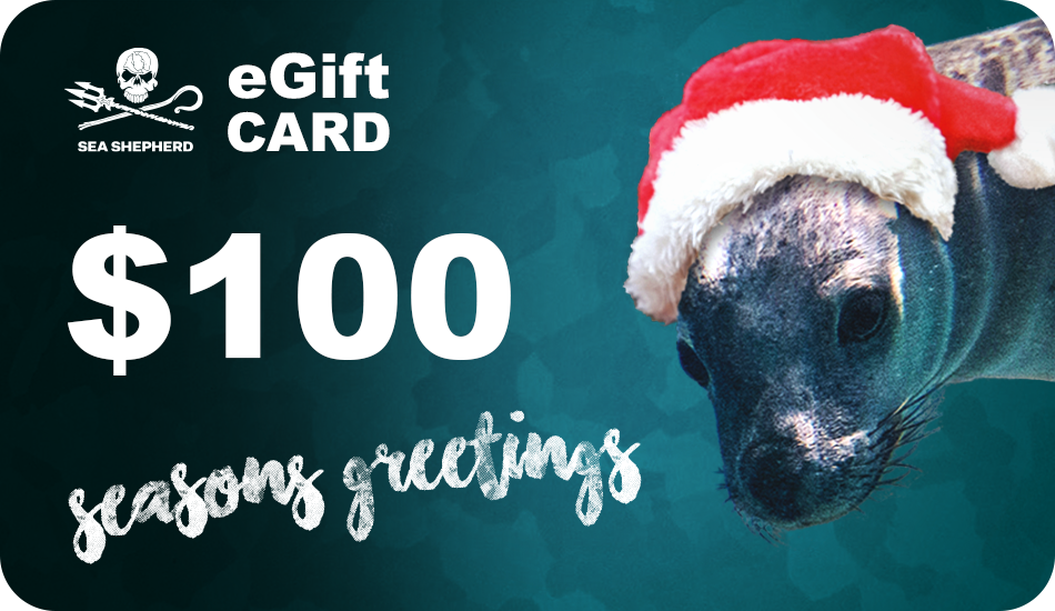 Christmas eGift Cards