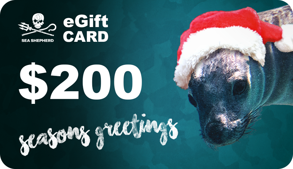 Christmas eGift Cards