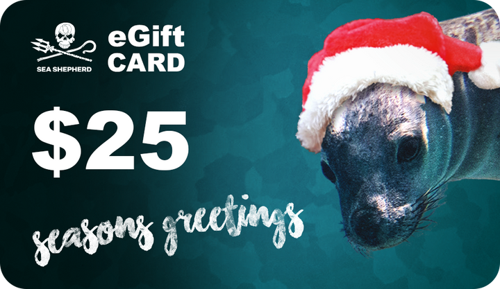 Christmas eGift Cards
