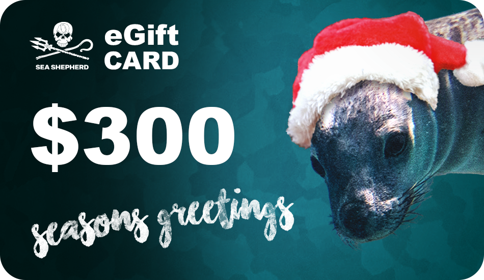 Christmas eGift Cards