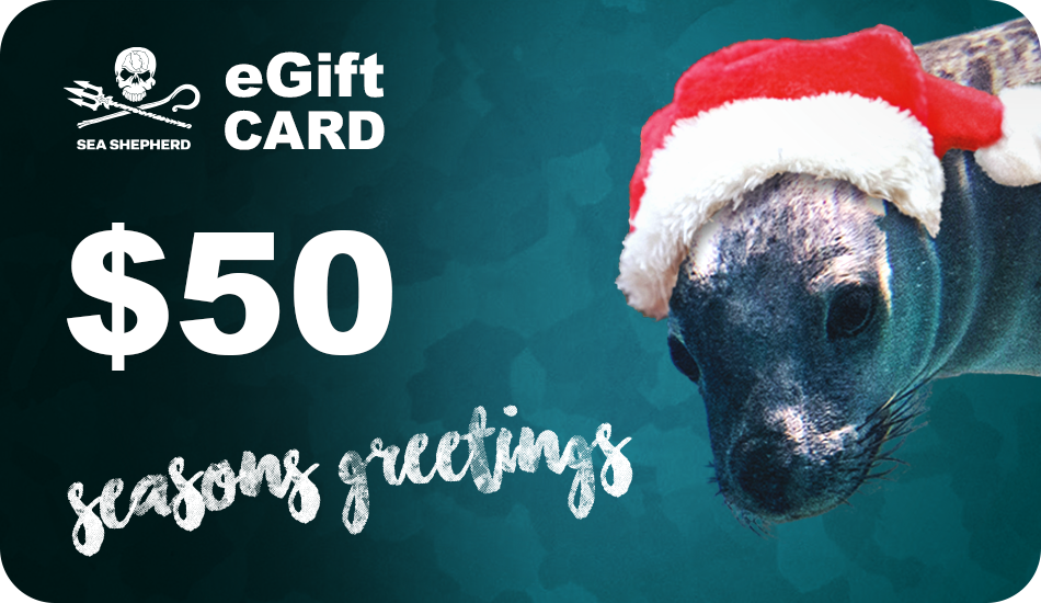 Christmas eGift Cards