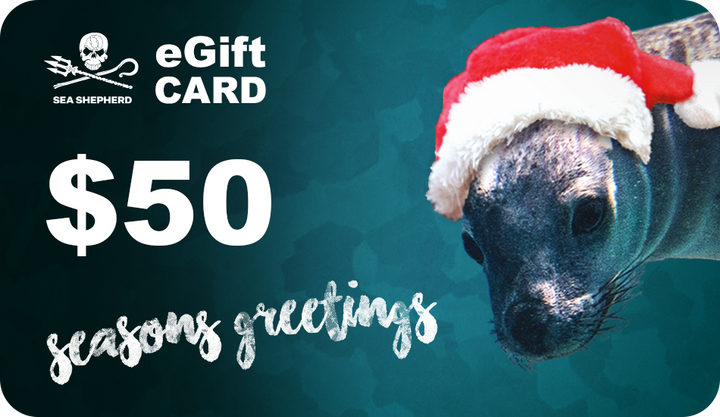 Christmas eGift Cards