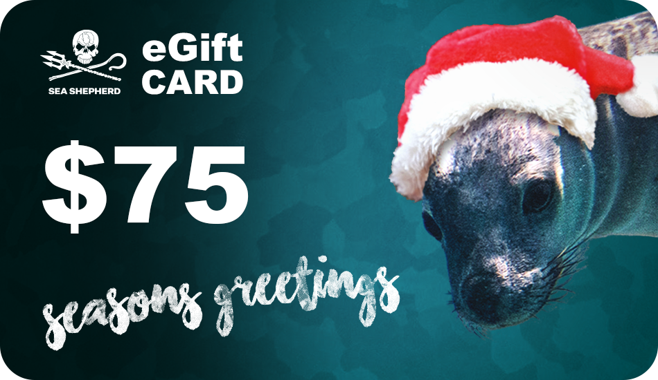Christmas eGift Cards